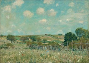 Tablou pe sticlă - Alfred Sisley,  Meadow, reproducere (70x50 cm)