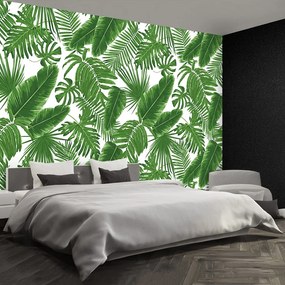 Fototapet Frunze tropicale