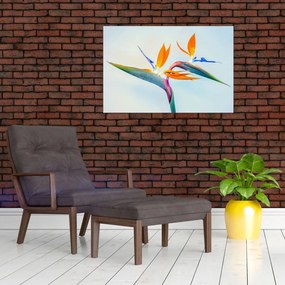 Tablou cu floarea Strelicie (90x60 cm)