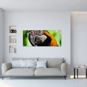 Tablou  cu papagal (120x50 cm), în 40 de alte dimensiuni noi