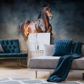 Fototapet - Calul maro (152,5x104 cm)