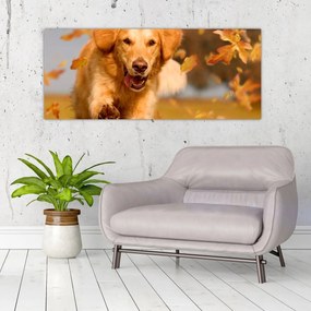 Tablou - Golden Retriever (120x50 cm)