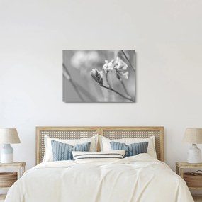 Tablou pe sticlă - Floare înflorită (70x50 cm)
