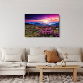Tablou - Munte înflorit peisaj (90x60 cm)