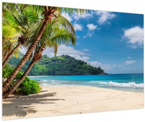 Tablou - Caraibe (90x60 cm)