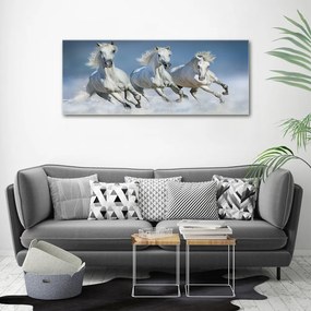 Tablou pe pânză canvas Galopantă cai