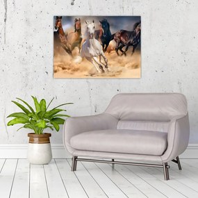 Tablou pe sticlă - Caii în deșert (70x50 cm)