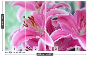 Fototapet Pink Lily