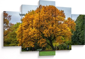 Tablou cu copac (150x105 cm)