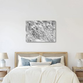 Tablou pe sticlă - Ramuri înzăpezite (70x50 cm)