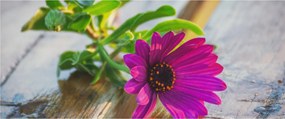 Tablou flori tăiate (120x50 cm)