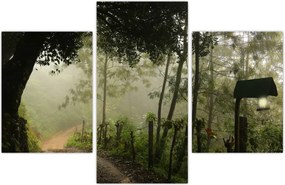 Tablou cu ceața de dimineața (90x60 cm)