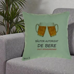 Perna Decorativa Bautor Autorizat de Bere, 40x40 cm, Verde, Husa Detasabila, Perna Inclusa, BEKZ®