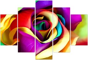 Tablou - Trandafir colorat (150x105 cm)