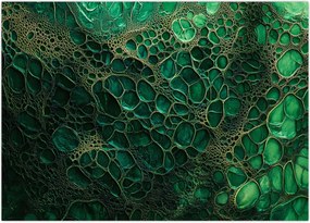 Tablou pe sticlă - Imagine microscopică verde (70x50 cm)