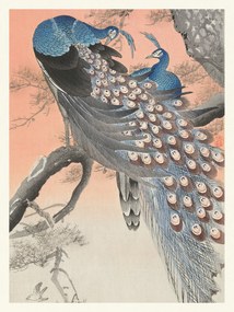 Artă imprimată Two Peackcoks on a Peach Branch (Japandi Vintage) - Ohara Koson, (30 x 40 cm)