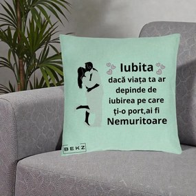 Cadou pentru Iubita - Perna Personalizata Iubita Nemuritoare cu Siluete de Cuplu, 40x40 cm, Verde Menta, Husa Detasabila, Perna Inclusa, BEKZ®