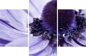 Tablou - Floare mov (90x60 cm)