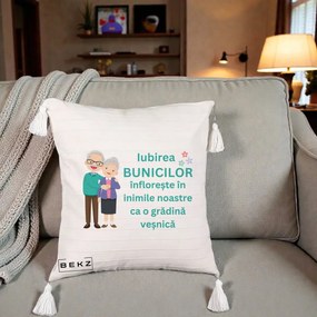Cadou pentru Bunici - Perna Personalizata Bunicii Iubirea Infloreste Cuplu Senior Teal, 40x40 cm, Bej cu Franjuri, Husa Detasabila, Perna Inclusa, BEKZ®
