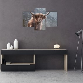 Tablou - Vaca Highlander (90x60 cm)