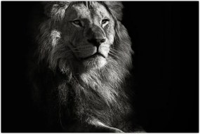 Tablou - Leu (90x60 cm)