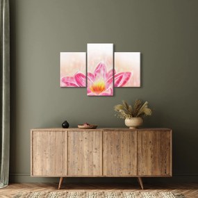 Tablou - Floare de lotus (90x60 cm)