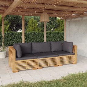 3100866 vidaXL Set mobilier grădină cu perne, 3 piese, lemn masiv de tec