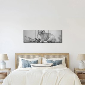 Tablou - Vulpe gri (cu ceas) (90x30 cm)