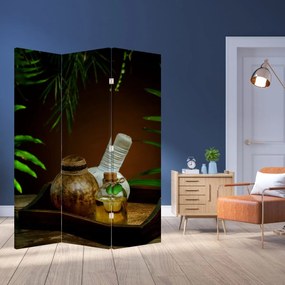 Paravan - Obiectele spa (126x170 cm)