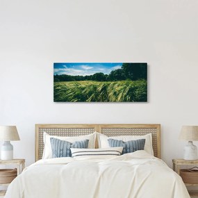 Tablou cu linca și pădure (120x50 cm)