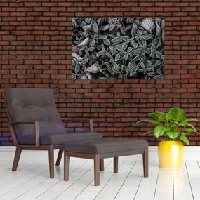 Tablou - Plante înghețate (90x60 cm)