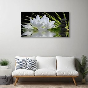 Tablou pe panza canvas Pietrele de flori Apă Floral Alb Negru