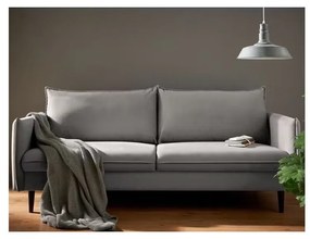 Canapea gri cu tapițerie din catifea 203 cm Juli – Ropez