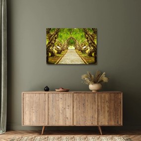 Tablou - Tunel viu din plumeria (70x50 cm)