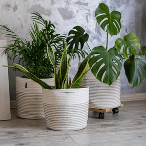 TEMPO-KONDELA MEZON, huse pentru ghivece, set de 3, alb/ model