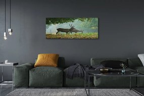 Tablouri canvas pădure toamna Deer