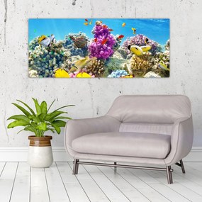 Tablou - Lumea mării (120x50 cm)