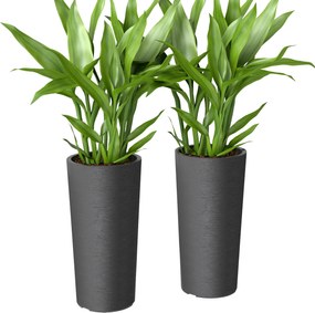 Outsunny Set de 2 ghivece stivabile, ghiveci cu găuri 35x35 cm, rotund, Gri închis | Aosom Romania