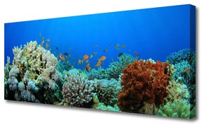 Tablou pe panza canvas Coral Reef Natura Multi