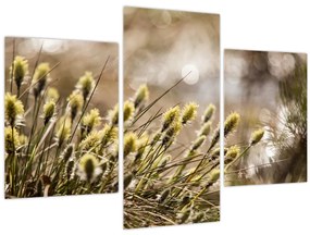 Tablou - Verde (90x60 cm)