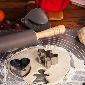 Blat din silicon Florina Anide