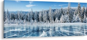 Tablou cu lacul înghețat și copacii înzăpeziți (120x50 cm)