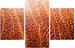 Tablou - Detaliu de textură (90x60 cm)