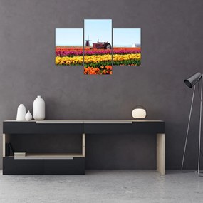 Tablou cu farma de lalele (90x60 cm)