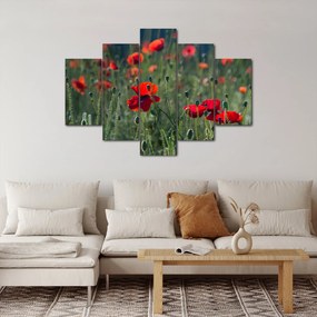 Tablou - Lunca cu maci (150x105 cm)