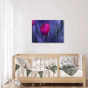 Tablou pe sticlă mugure de lalea (70x50 cm)