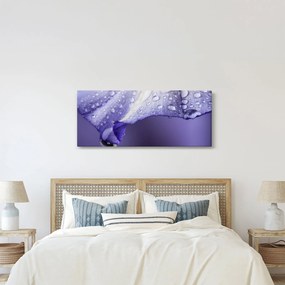 Tablou - Petală cu picături (120x50 cm)