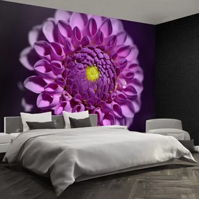 Fototapet Dahlia roz