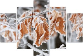 Tablou - Frunze înghețate (150x105 cm)