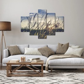 Tablou cu flori de câmp (150x105 cm)